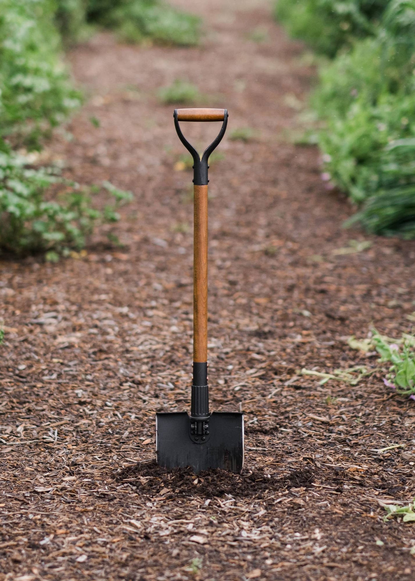 shovel standing alone in dirt