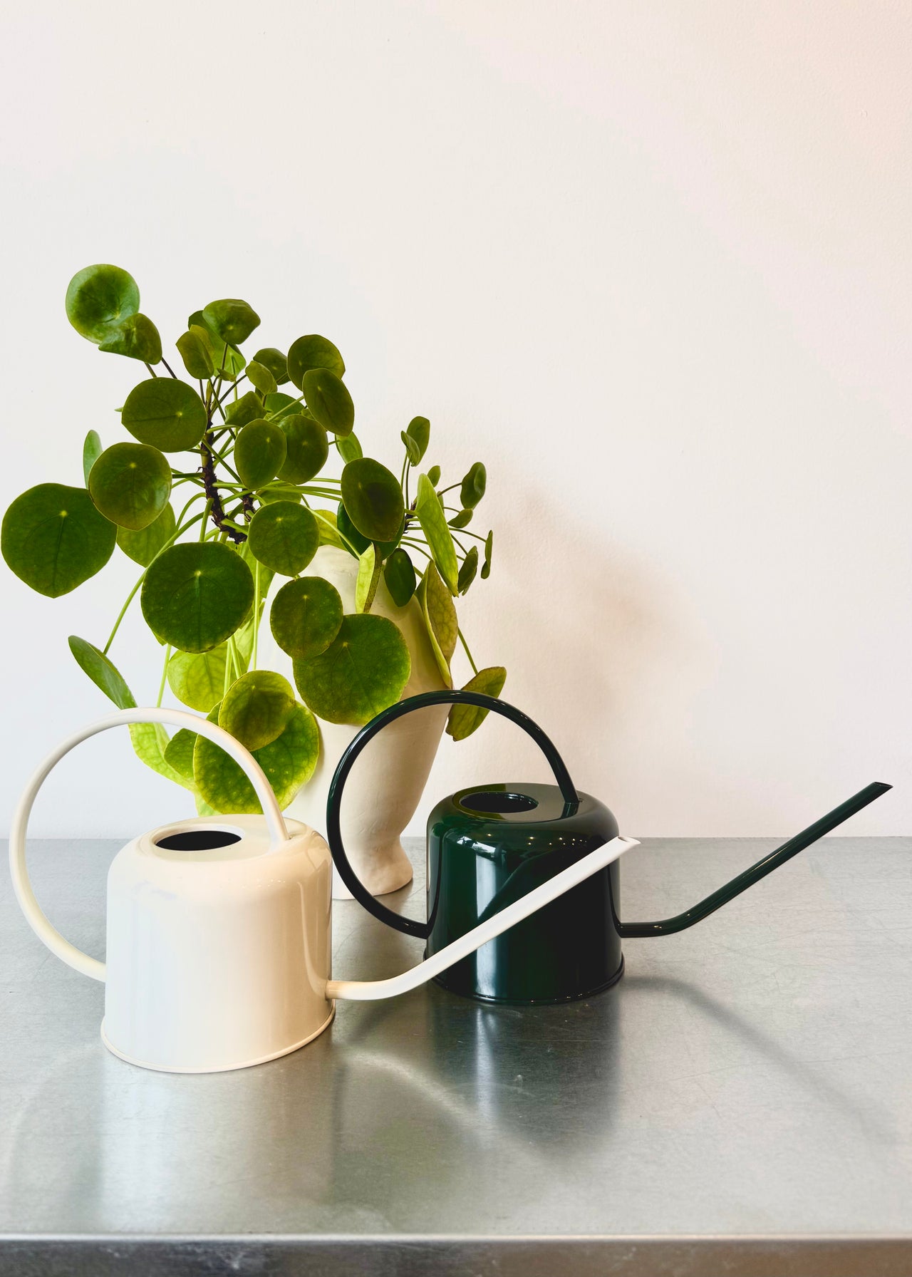 Watering Can 0.9L