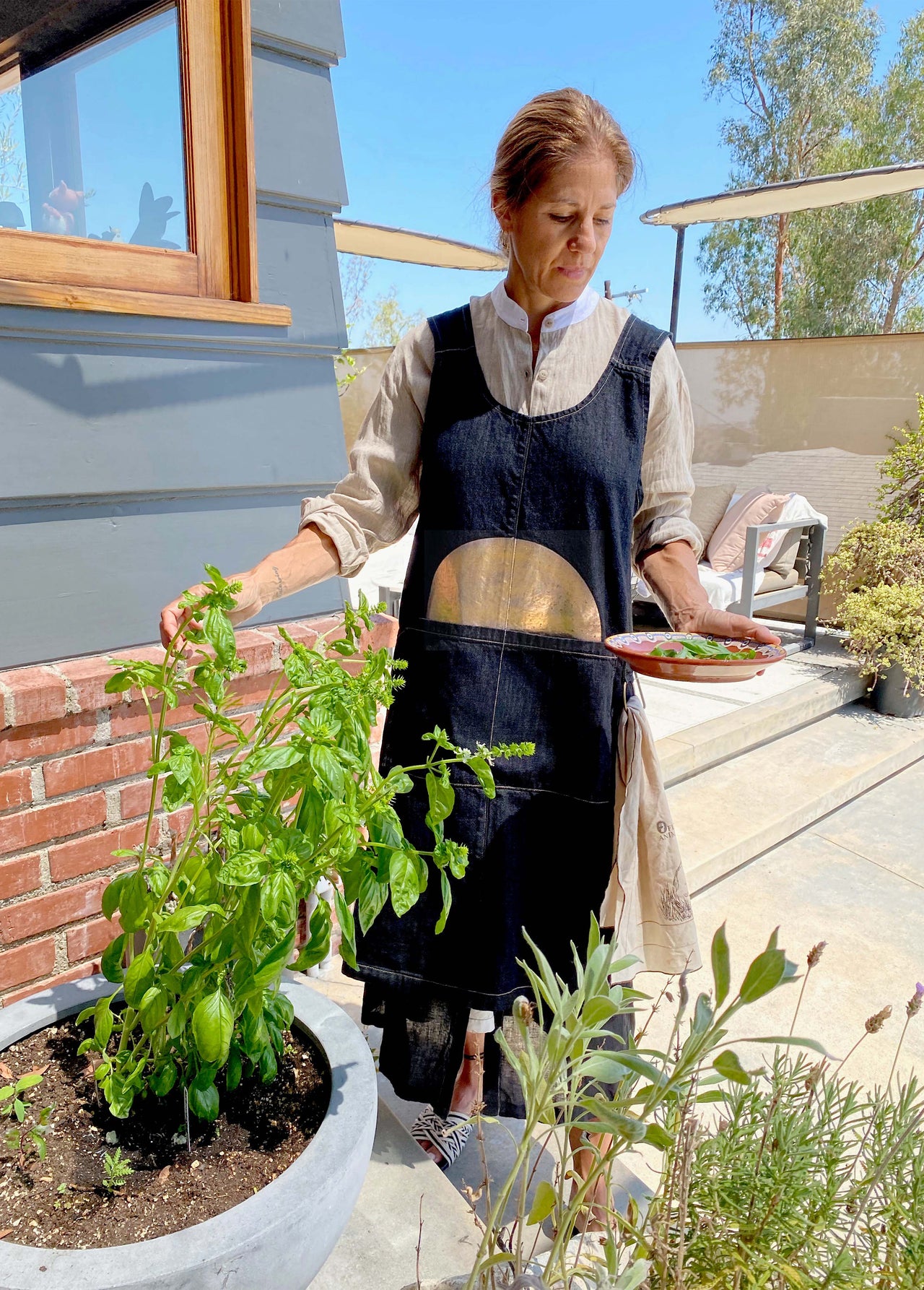 Rising Sun Harvest Apron