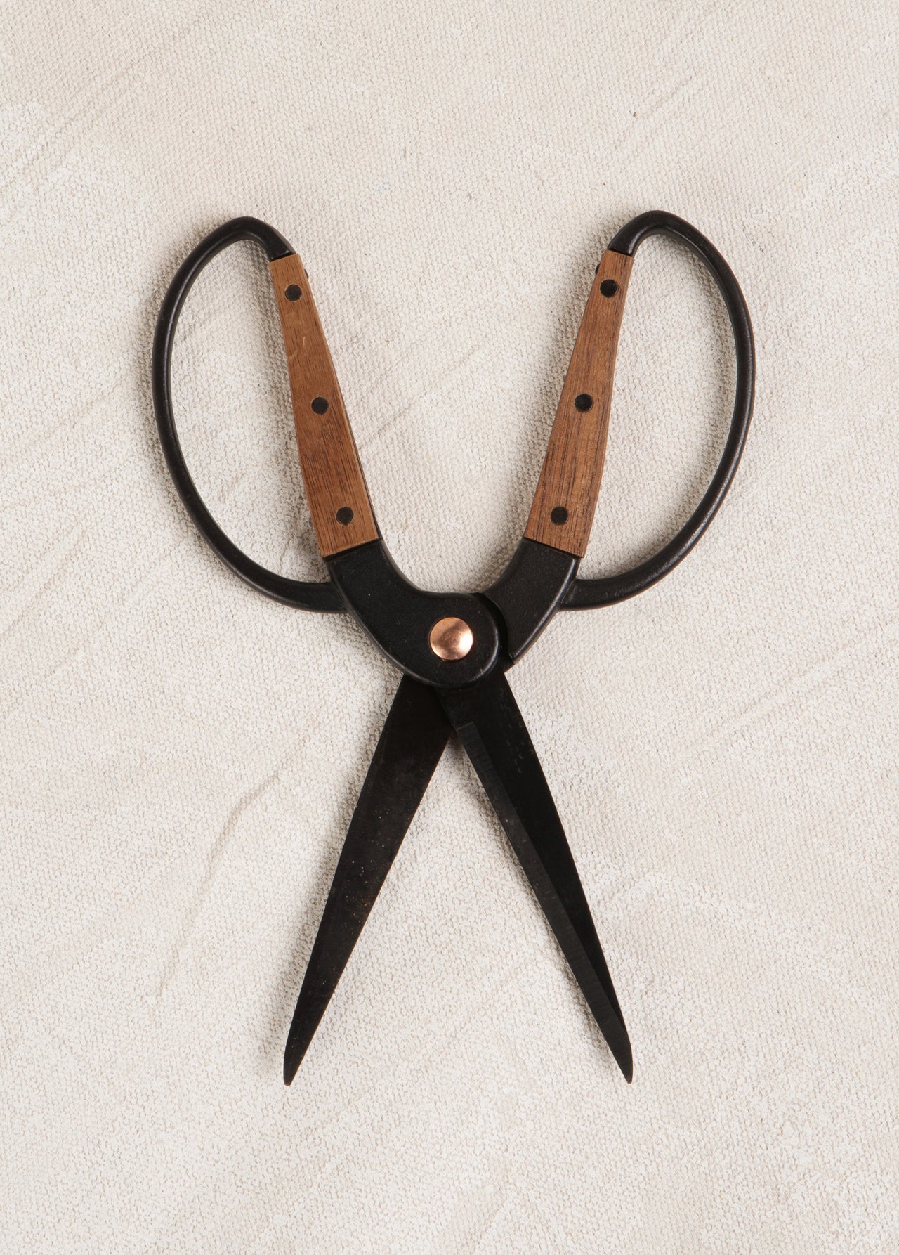 garden scissors top view