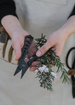 Herb & Harvest Strip Tool