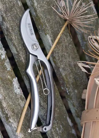Sophie Conran Secateurs overhead