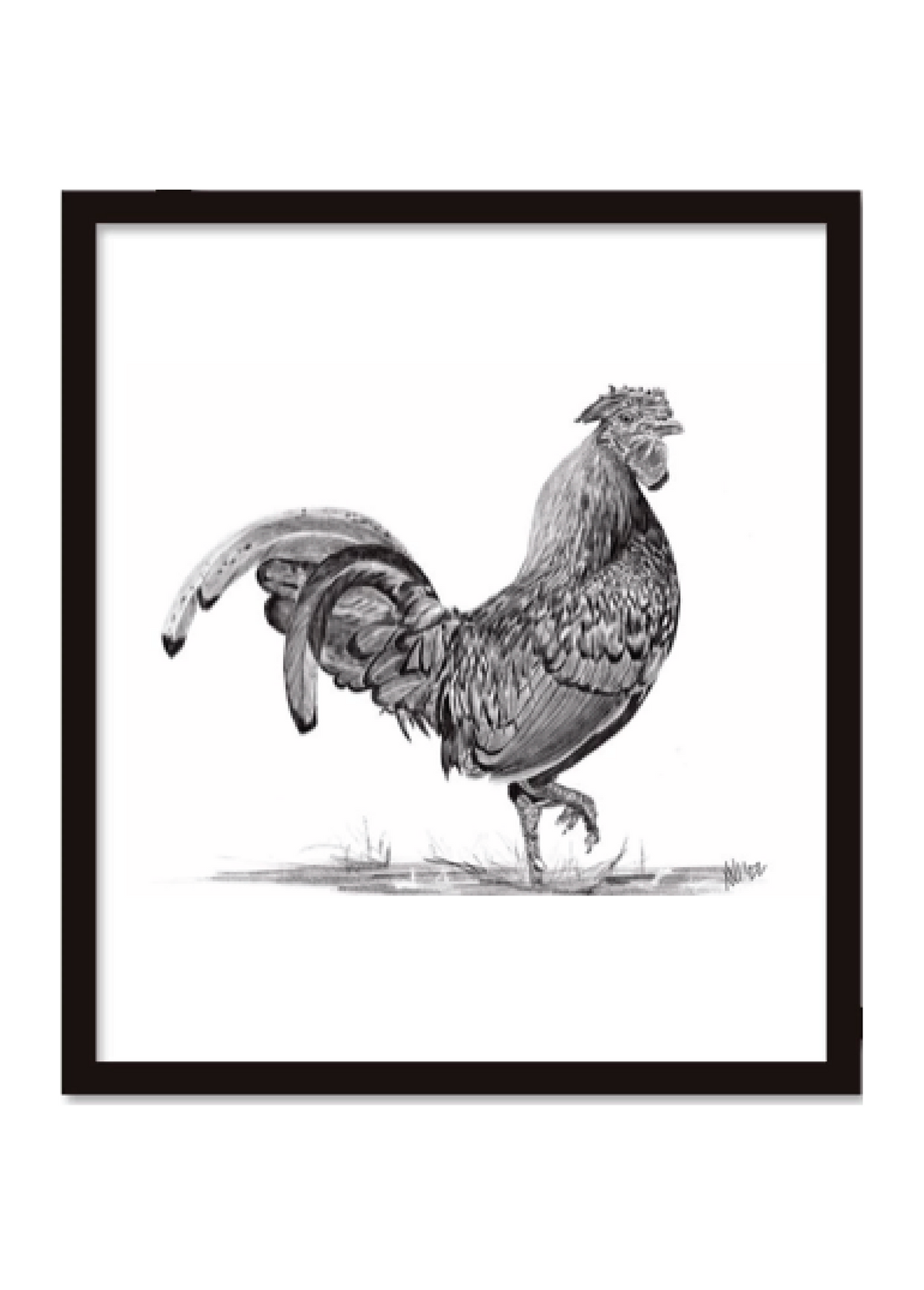 Mina Wright Rescued Chicken Printed Graphite Drawing