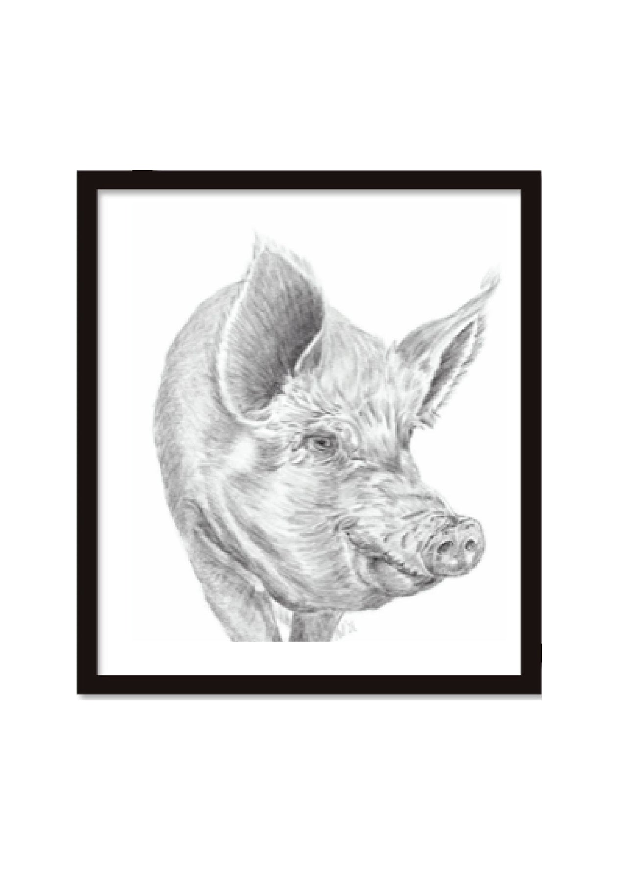 Mina Wright Rescued Pig Printed Graphite Drawing 2