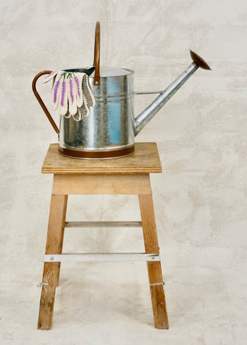 Classic Watering Can - 2.6 gal