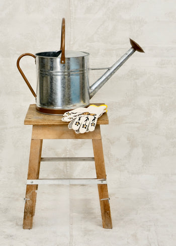 Classic Watering Can - 2.6 gal