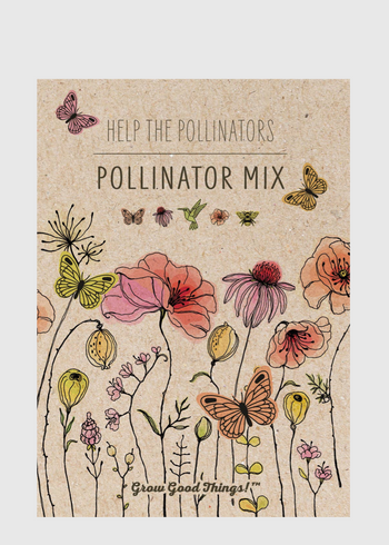 Pollinator Butterfly - Wildflower Mix Seed Packets
