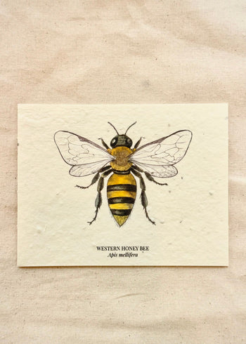 plant me card honey bee