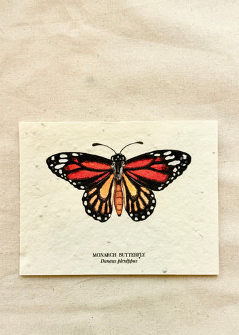 Monarch Butterfly plantable card