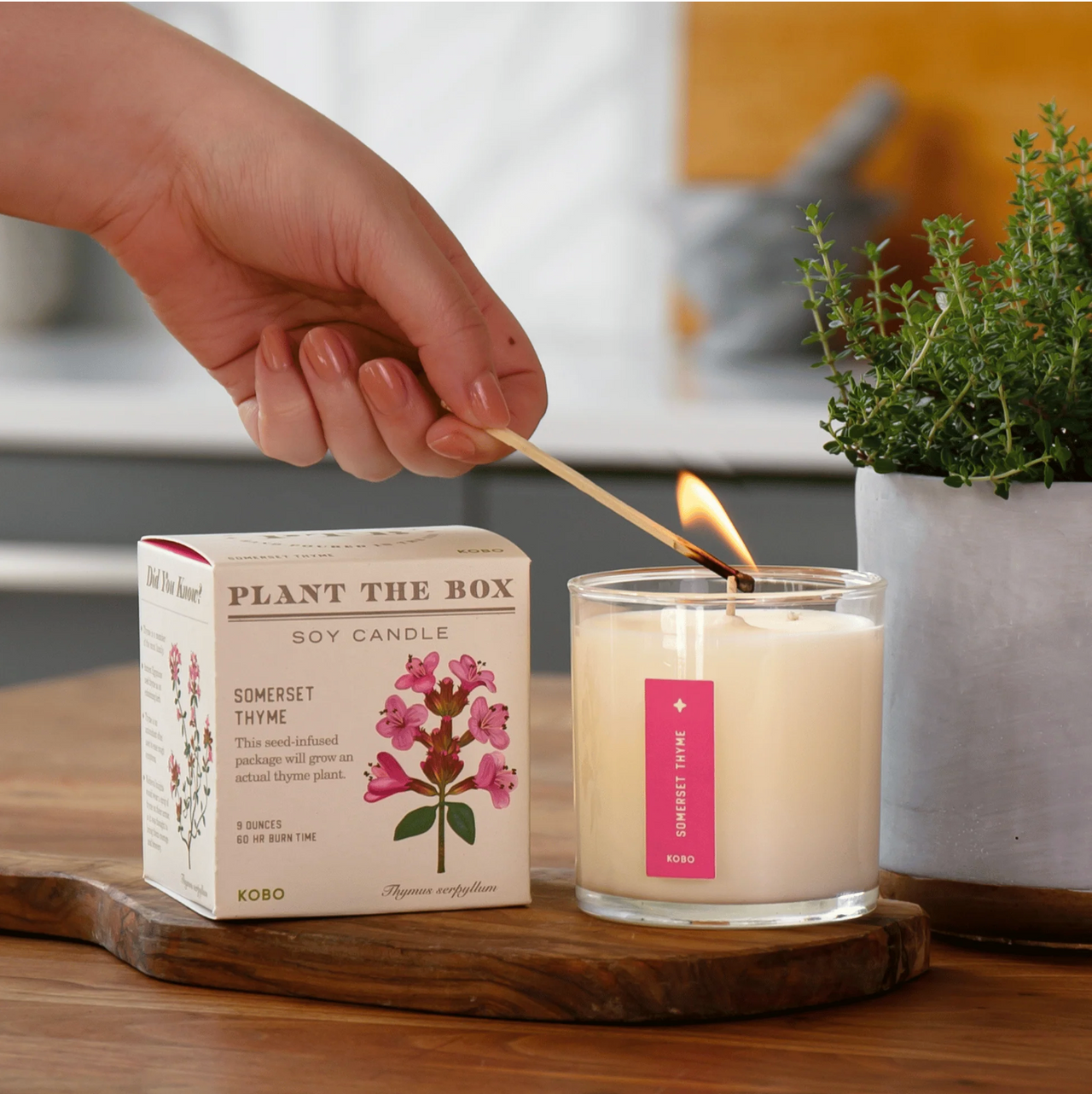 Somerset Thyme - Plant the Box Soy Candle 9oz