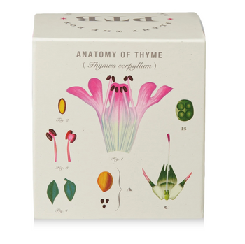 Somerset Thyme - Plant the Box Soy Candle 9oz