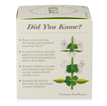 Fresh Picked Basil - Plant the Box Candle - 9oz.