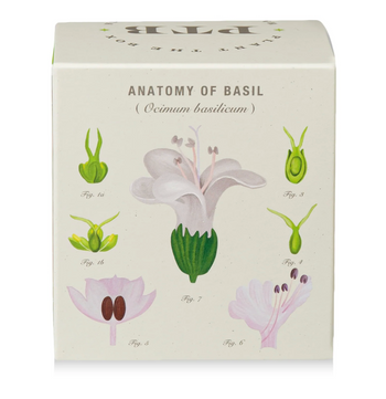 Fresh Picked Basil - Plant the Box Candle - 9oz.