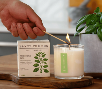 Fresh Picked Basil - Plant the Box Candle - 9oz.
