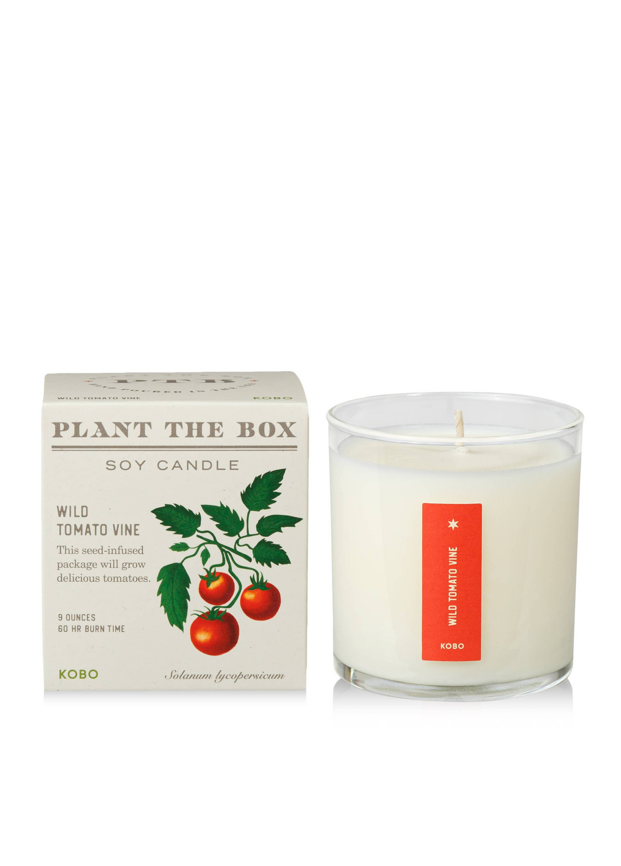 wild tomato candle next to box