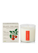 wild tomato candle next to box