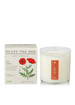 Red Poppy - Plant the Box Candle - 9oz.