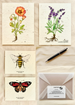 4 plantable cards 