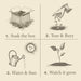 Herb Garden - Plant the Box Votive Candle Trio - 3