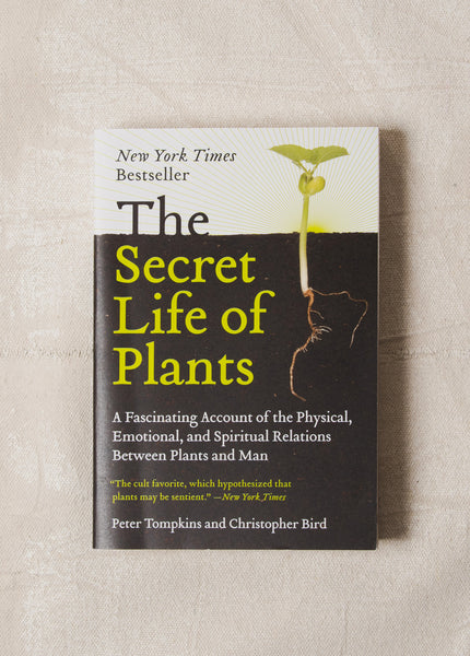 seed to seed the secret life of plants The Secret Life of Plants