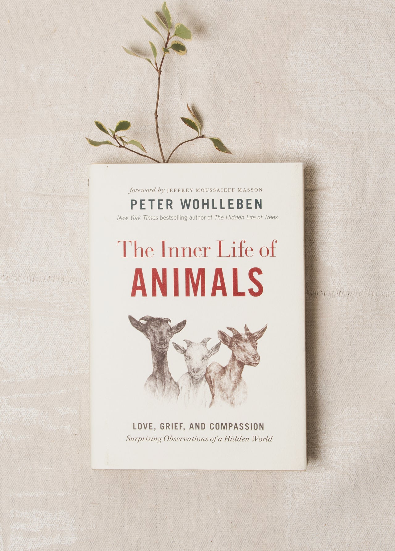 The Inner Life of Animals