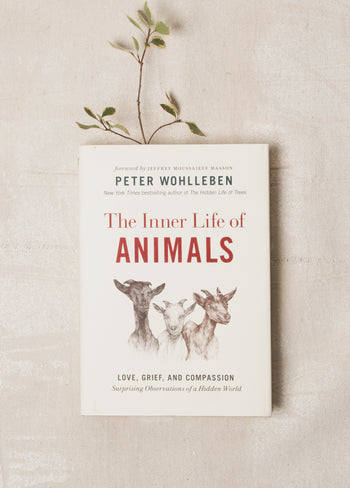 The Inner Life of Animals