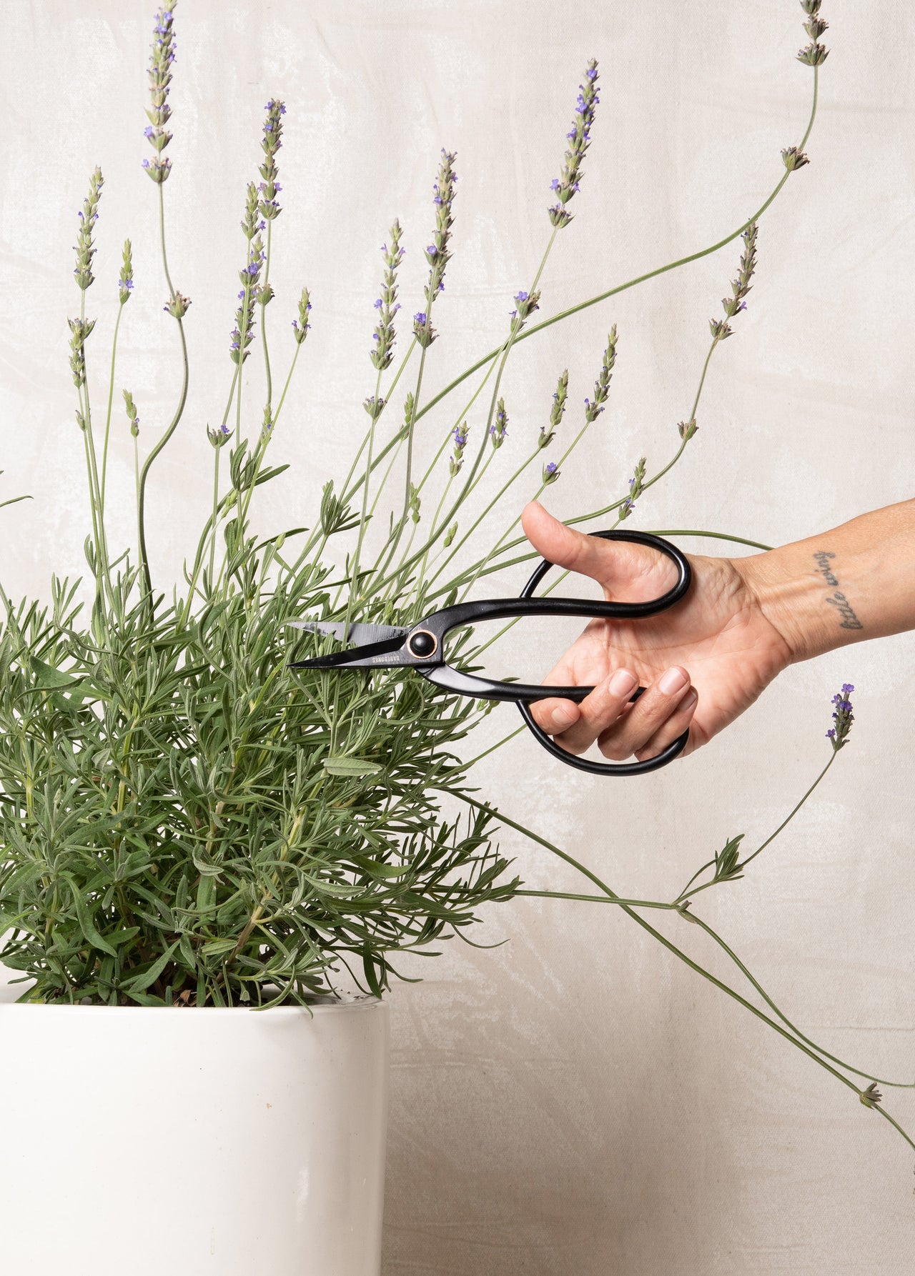 Artisan Pruning Shears